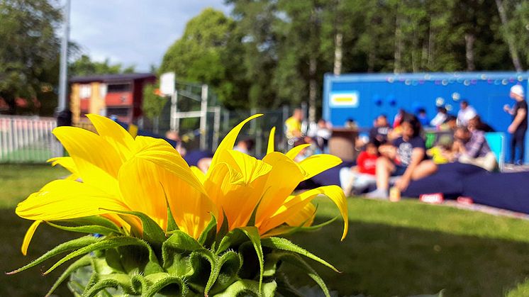 Nu startar en aktiv sommar med Vidingehem!