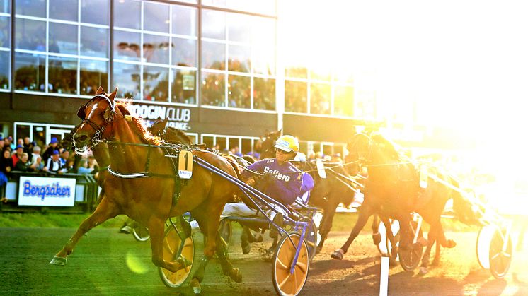 Moni Viking och Björn Goop vann Sundsvall Open Trot på Bergsåker 2022. Till 2023 satsar ATG på en multijackpot på V75 till Bergsåkers travfest. Foto Maria Holmén/TR Bild