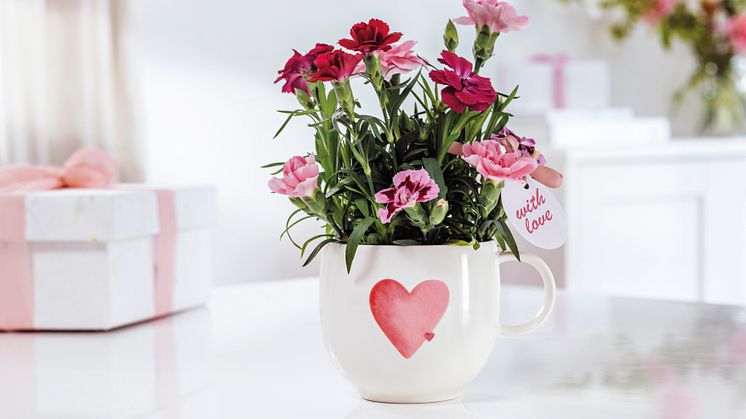 With Love