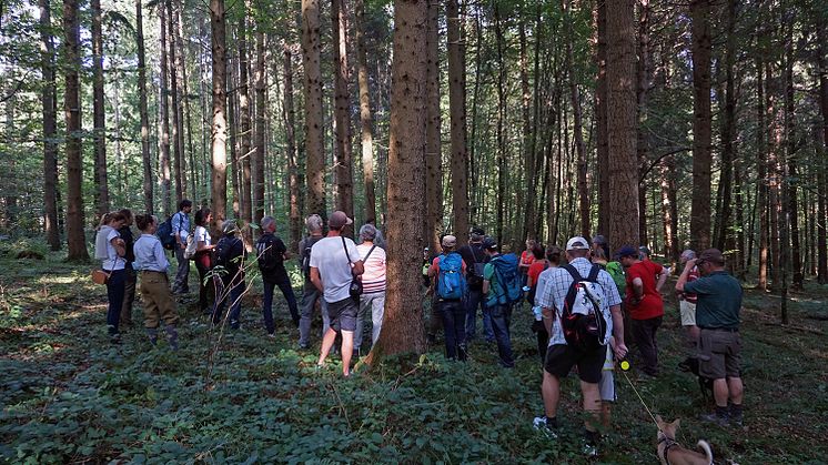 Auf den Spuren des Klimawandels und 150 Jahren Forstgeschichte im Metzinger Stadtwald