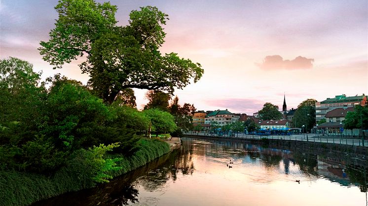 VA-­Sverige samlas i Borås den 19-­21 mars 2015