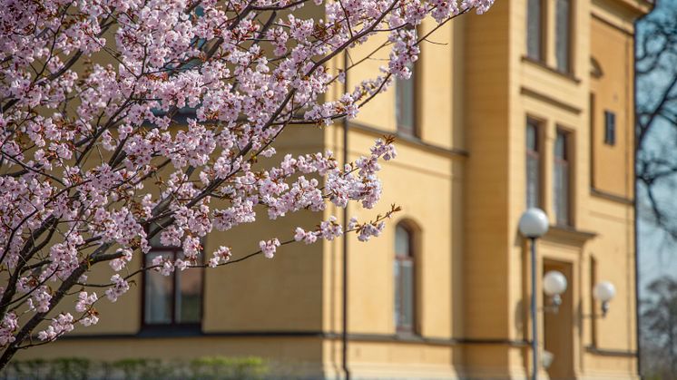campus