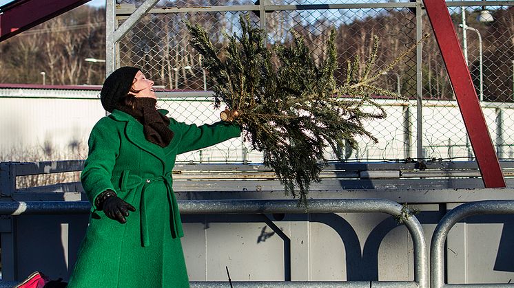 När julen är över ska julgran och annat julavfall återvinnas. Men den största miljöinsatsen görs innan jul - genom att förebygga att avfall uppstår. Foto: Johanna Montell