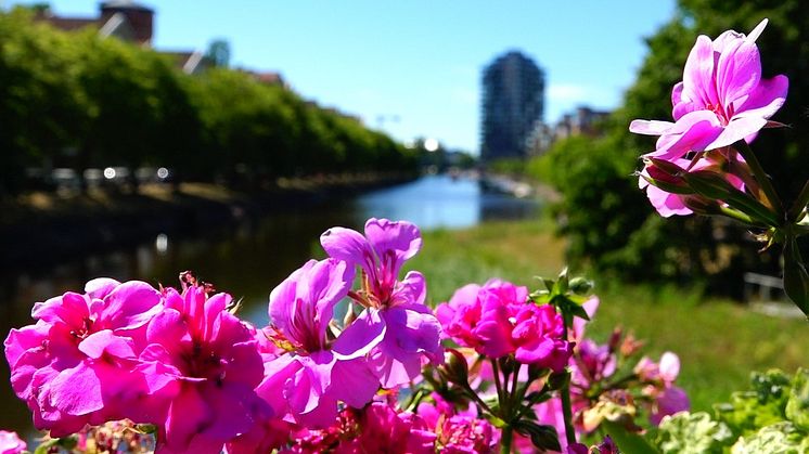 Begränsad framkomlighet i samband med Gyllene Tiders konsert 31 juli
