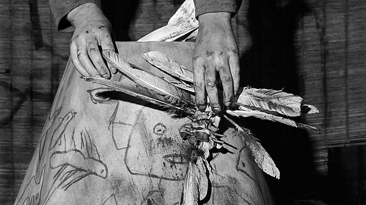 Roger_Ballen_Replica_2009. kred. Roger Ballen _ Landskrona Foto