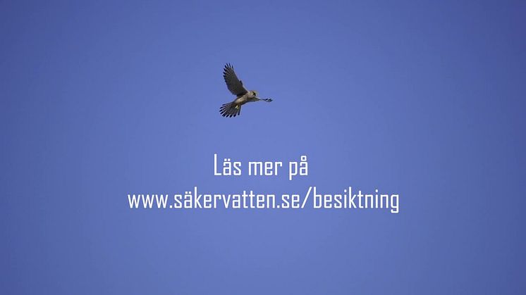Vi söker besiktningsmän