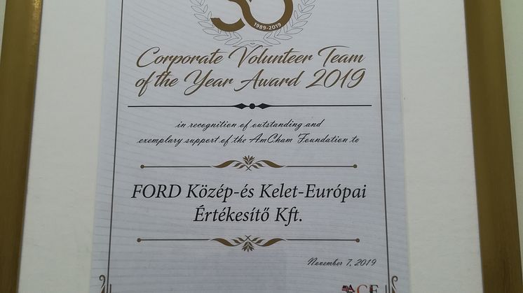 Ford Volunteer Program