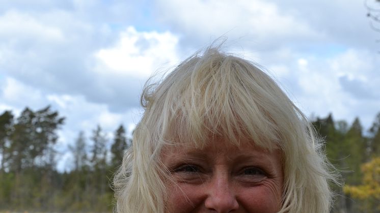 Guldyxan till vattenvän