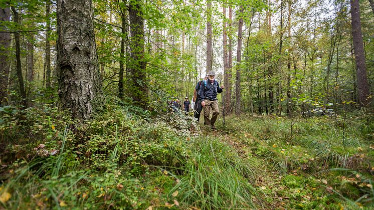 Hovdala och Mölleröd naturområde bjuder på varierande vandringsupplevelser