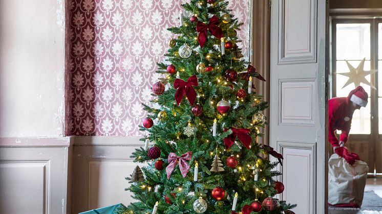 Rusta_2022_S4_christmastree_chamonix_250 cm 456 LED_2999 SEK_NOK_299,90 EUR