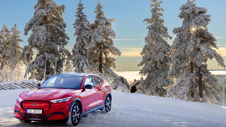 Ford Mustang Mach-E Vinter 2022