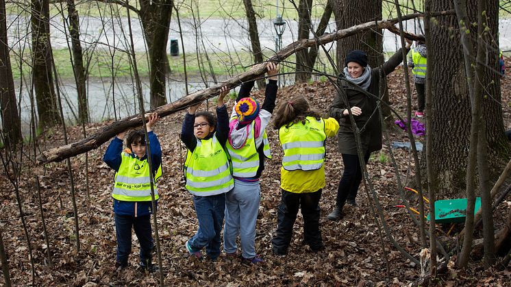 FAU på Tøyen skole får støtte til å gjøre nærskogen Ola Narr på Tøyen til et tursted. Sammen med fagfolk skal de tilrettelegge for at barnehage- og skolebarn i lokalmiljøet bruker og blir glad i det lille skogholtet. (Foto: Sverre Chr. Jarild)