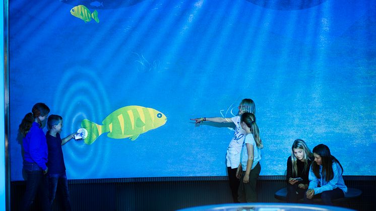 Digitalt akvarium - en del af den faste, digitale udstilling på Den Blå Planet.