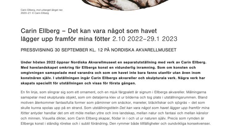 Pressmeddelande Carin Ellberg.pdf