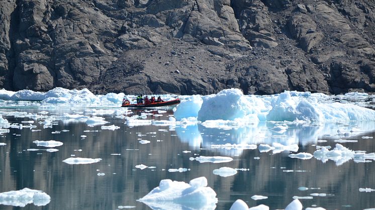 Greenland - Qoroq Ice Fjord Shore Tour in Narsarsuaq (2)