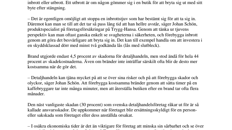Inbrott dominerar bland försäkringsärendena för detaljhandeln