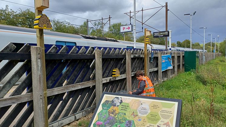 Bayford 1.jpg