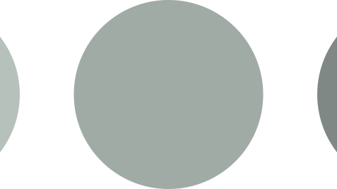 Dempet mint.png