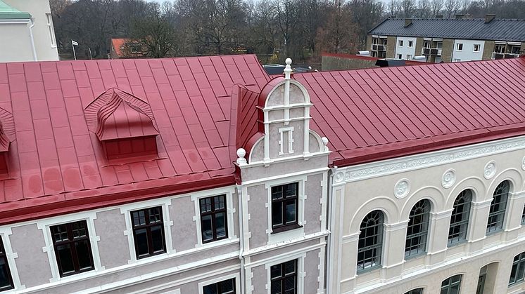 Enmansföretaget som vann “Årets Plannjatak”