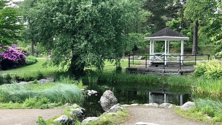 Djäkneberget
