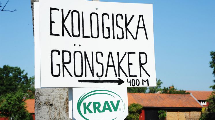 Foto: Birger Lallo, Skandinav bildbyrå