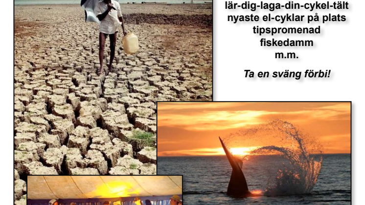 En dag av mångfald på Världsmiljödagen