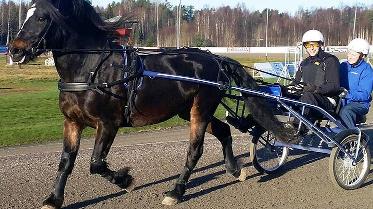 Pröva köra travhäst? Åmåls travskola lovar en hästnära upplevelse i sina prova-på-kurser. Foto: Åmåls travskola.