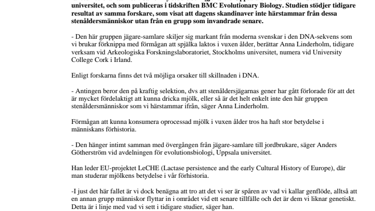 Stenåldersskandinaver kunde inte dricka mjölk