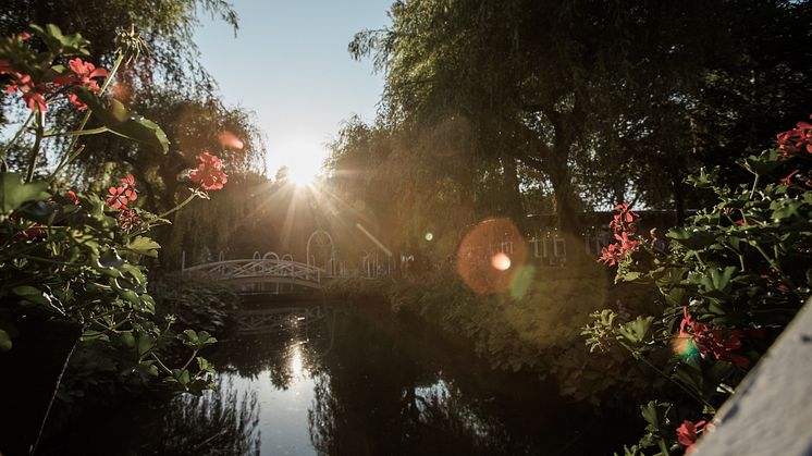Tivoli Friheden. Foto af Malte Riis. 