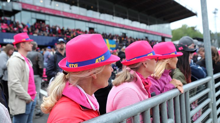 Högre omsättning och fler tv-tittare på Elitloppet	 