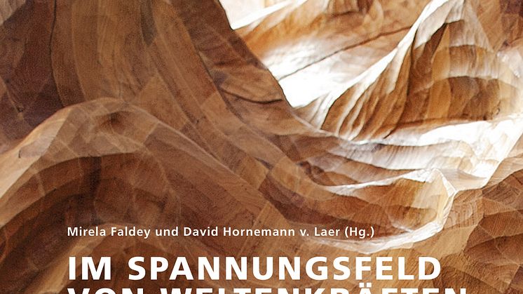 Cover VamG Zum Menschheitsreprasentanten_Motiv von Mirela Faldey