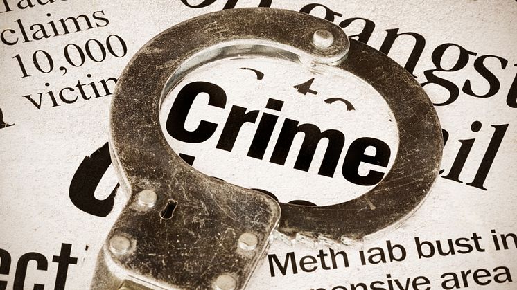 Coordinating crime detection in Europe