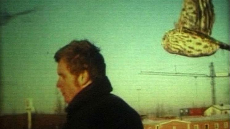 Mats Adelman, "Backwood", 2000, video still överförd till DVD. Cyklande man med flygande uggla bakom.