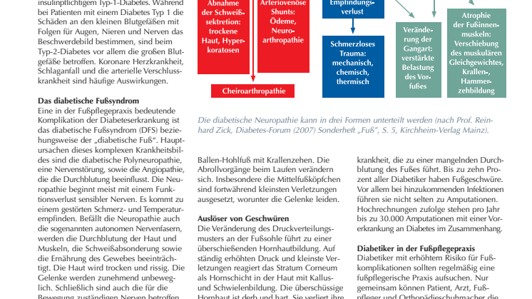 Der diabetische Fuß: Die Folgen von Zuckerkrankheit im Griff haben