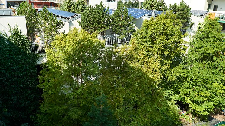 Hållbarhetens innergård