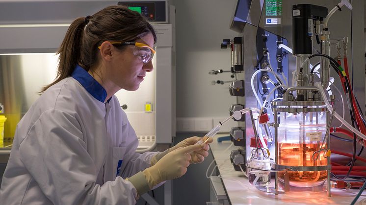 3. Técnica trabajando con un bioreactor_HIPRA