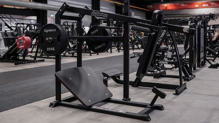 pendulum_at_gym.jpg