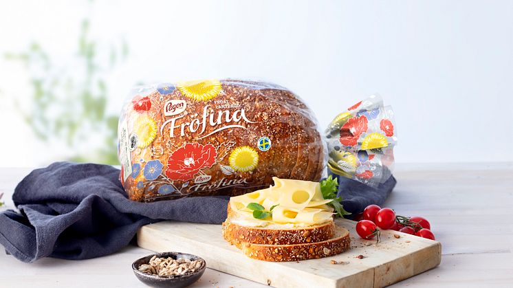 Pågen Fröfina 