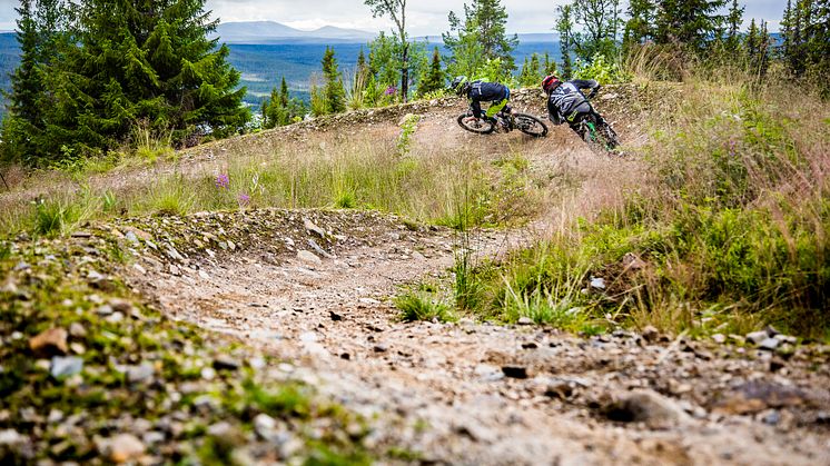 Lofsdalen Bike park