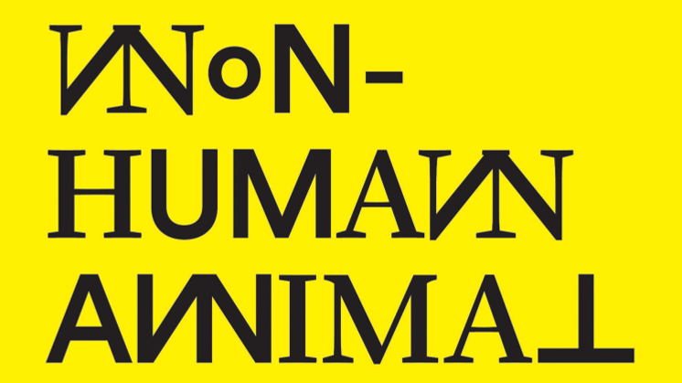 The Non-Human Animal - hand out