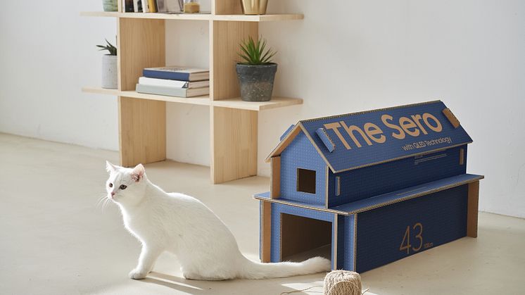 The Sero and Cat