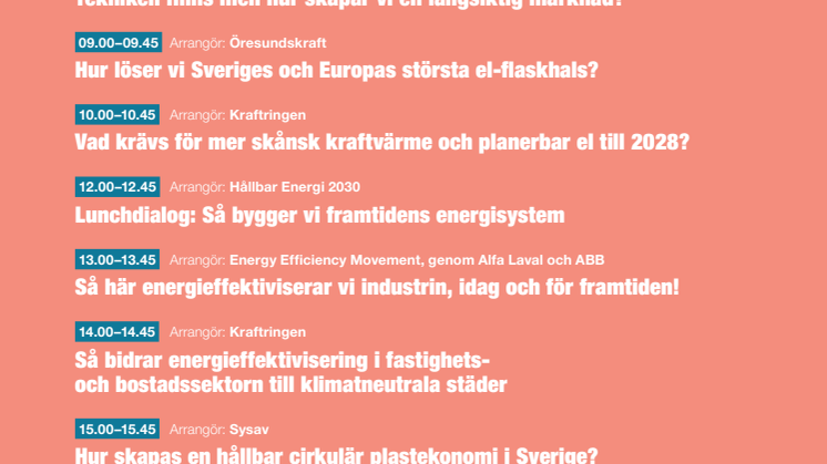 Hallbar_Energi_2030_Flyer_A4[3].pdf