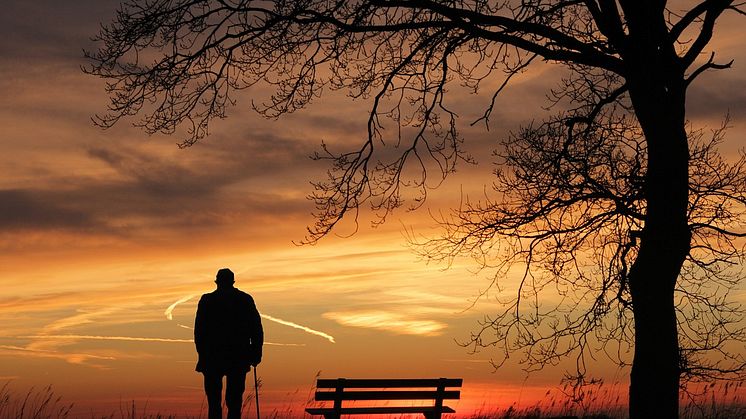 Ensamhetens sjukdom. Foto: Pixabay