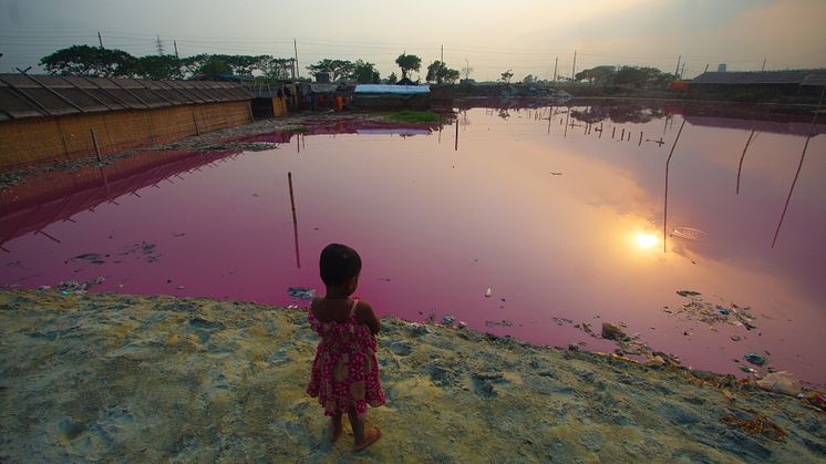 Uppsala Health Summit 2023 - Chemical Pollution and One Health