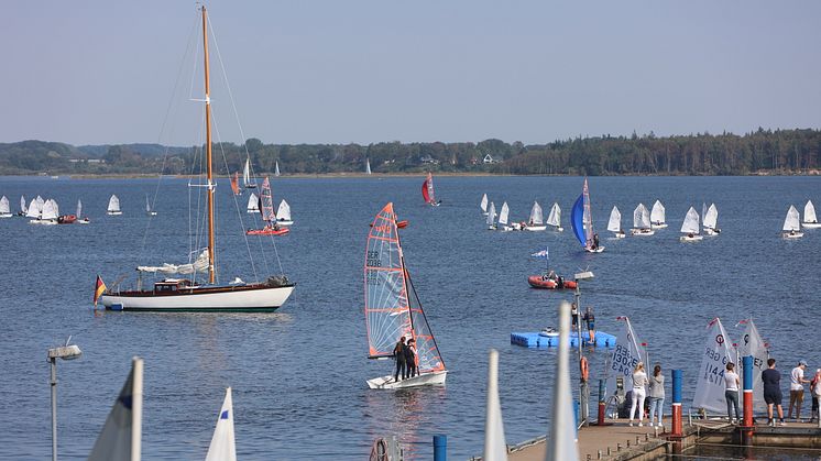 Herbstpokal 2023 (341)