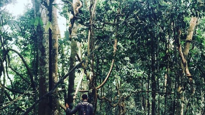 Conducting a Forest Integrity Assessment in Malaysian Borneo (credit Andy Suggitt)