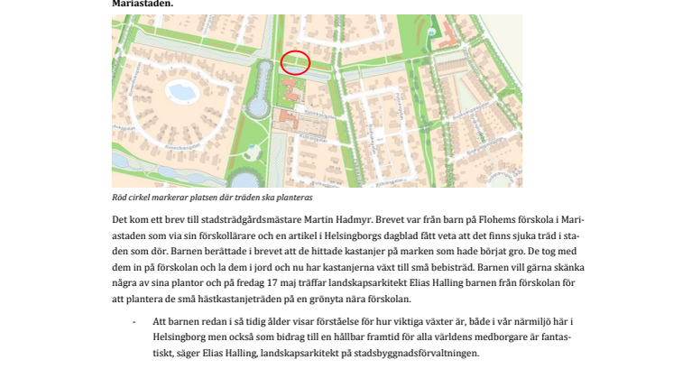 Pressinbjudan: ​Förskolebarn planterar hästkastanjeträd