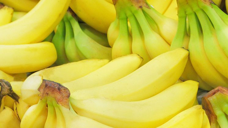 Bild: Bananer, bildrättigheter Canva