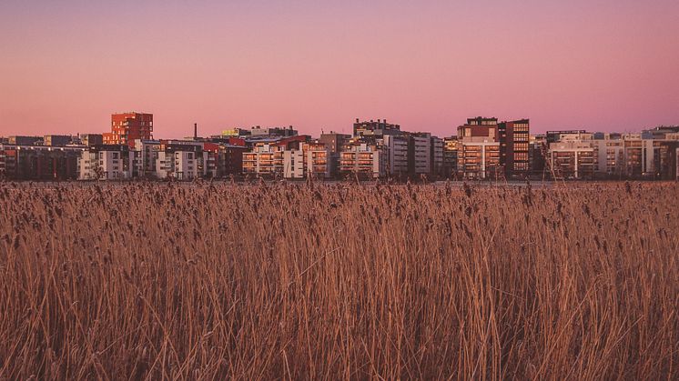 carlos-grury-santos-g_rIeMUh26s-unsplash.jpg