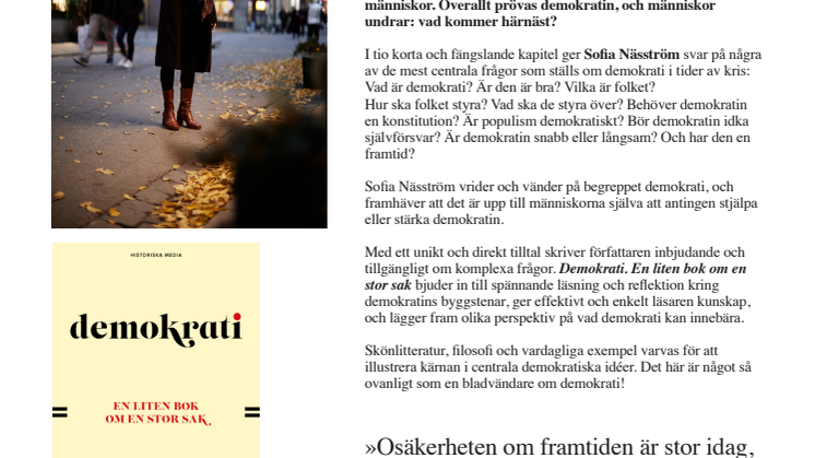PM_Demokrati.pdf